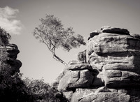 Brimham rocks B&W 1