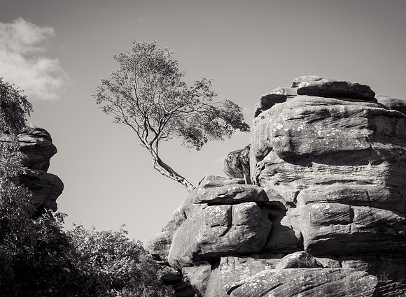 Brimham rocks B&W 1