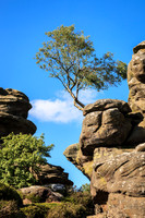 Brimham rocks VT1