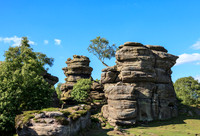 Brimham rocks 1