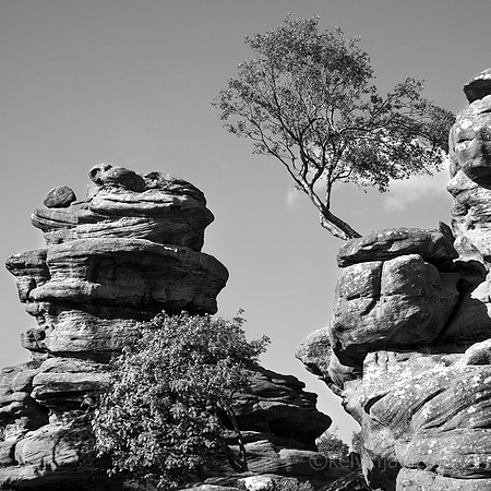 Brimham rocks B&W SQ