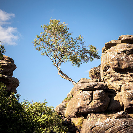 Brimham rocks SQ3