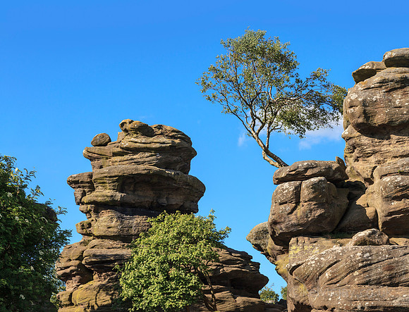 Brimham rocks 2